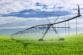 water conservation farm field equipment farmers irrigation seametrics olive tips control